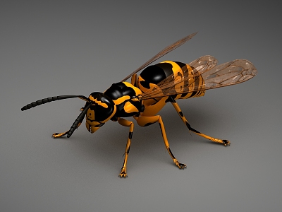 Modern Bees 3d model