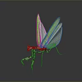 Green Winged Praying Mantis With Brown And White Striped Body And Reflection On Grey Background