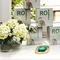 Cat Accessories And ROI Product Boxes With Green Pet Bowl Cat Scratcher