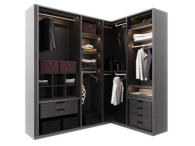 Modern Corner Wardrobe Design With Hanging Rods Drawers And Folded Clothes Storage 3d model