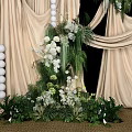 Elegant Floral Installation Featuring Beige Drapes White Flowers And Lush Greenery