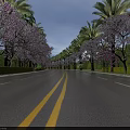 Scenic Road With Purple Flowering Trees Yellow Double Lines Palm Trees And Green Hedges