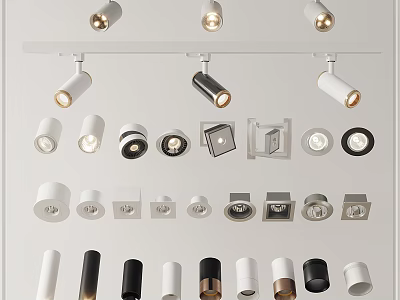 Modern Design Downlights and Spotlights With Various Colors Styles And Shapes For Interior Lighting 3d model