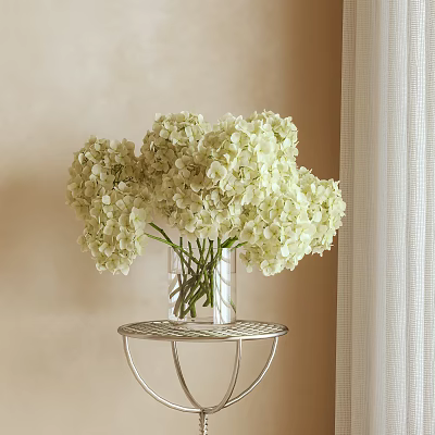 White Hydrangea Flowers in Clear Vase on Metal Round Table with Beige Wall and Curtain 3d model