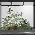 Indoor Green Plants Garden With Lush Foliage Decorative Stone And Natural Light