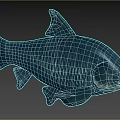 Detailed Black Aquatic Fish With Shiny Scales Side View On Blue Background