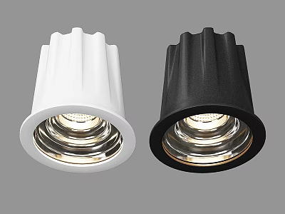 Contemporary Ceiling Downlight Spotlight in White and Black with Bright Lighting 3d model