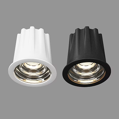 Contemporary Ceiling Downlight Spotlight in White and Black with Bright Lighting 3d model