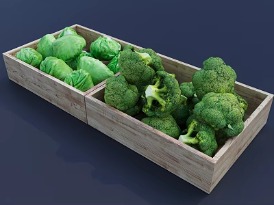 Fresh Green Broccoli and Cabbage Stored in Wooden Crate Container 3d model