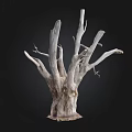 Natural Stone And Wood Decorative Trunk With Weathered Branches And Textured Base