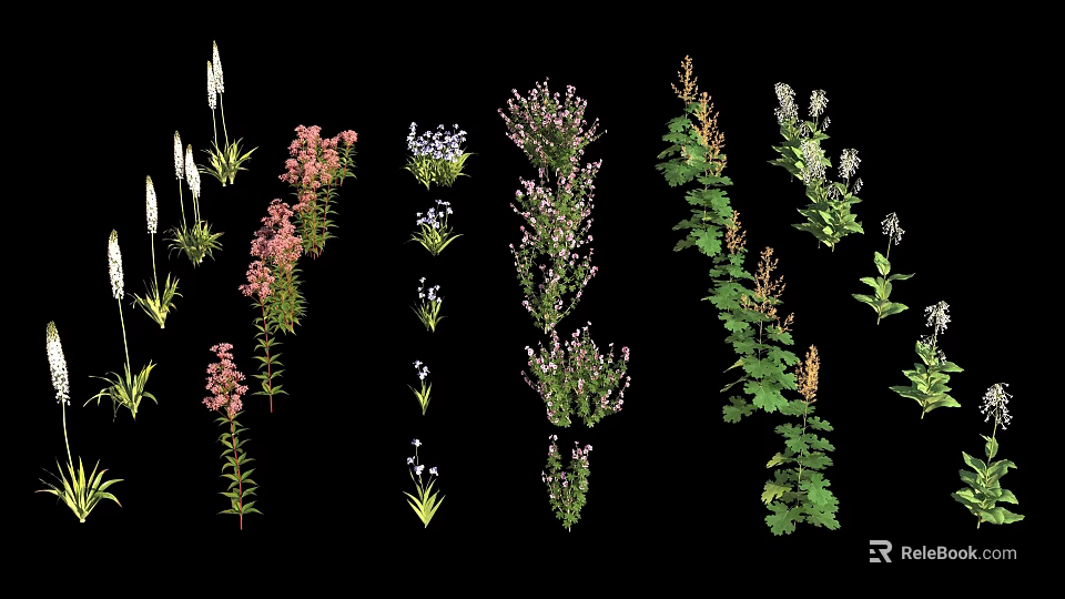 Colorful Assorted Flowers And Green Plants With Diverse Blooms And Lush Foliage 3d model 