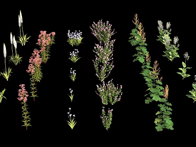 Colorful Assorted Flowers And Green Plants With Diverse Blooms And Lush Foliage 3d model