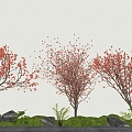 landscape tree flowering tree modeling tree 3d model