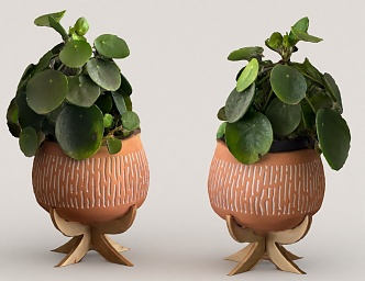 potted green plant 3d model