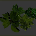 Lush Green Plants With Various Leaf Shapes In Metal And Transparent Pots On Gray Background