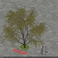 Dry Willow Tree Arbor with 3 Meters Height Green Grass and Square Tile Outdoor Ground