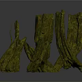 Green Moss Covered Plant Branches With Irregular Shapes And Natural Texture