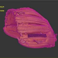 Yellow Leather Baseball Glove For Sports With Classic Design And Stitching