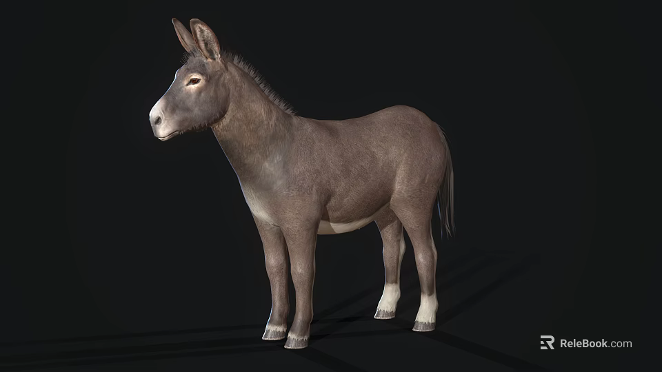 Realistic 3D Reptile Lizard Model With Gray Skin On Black Background 3d model 