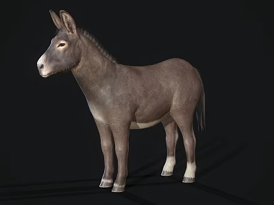 modern donkey 3d model