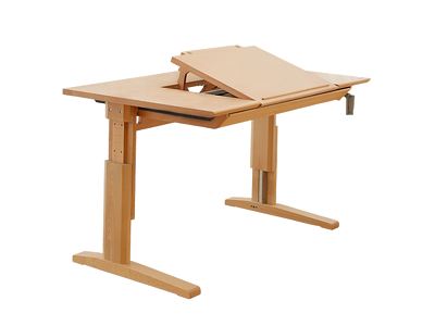 Modern Desk Lifting Desk Solid Wood Desk model