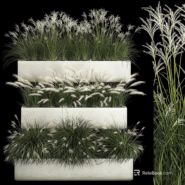 Lush Green Grasses And White Flower Plumes In Modern Tiered White Planters 3d model 