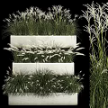 Lush Green Grasses And White Flower Plumes In Modern Tiered White Planters