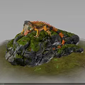 Colorful Iguana Perched on Mossy Rocks with Vibrant Scales and Greenery Around