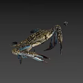 Realistic 3D Rendering Of Blue Spotted Crab With Extended Claws And Legs