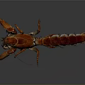 Vibrant Red Aquatic Crab With Claws Legs And Reflection On Gray Background 3d model