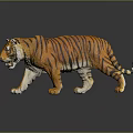 Realistic Tiger 3D Model With Orange Fur Black Stripes And Shiny Surface Reflection