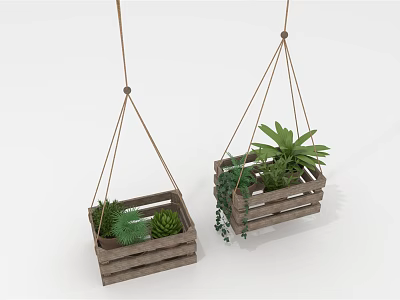 Natural Wooden Hanging Planters With Succulents And Green Leafy Plants 3d model