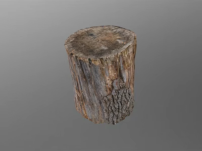 Natural Wooden Stone Stump Decor With Rustic Texture For Home Decoration 3d model