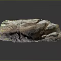 Natural Wood Stone Material Textured Surface With Cracked Patterns And Earthy Tones
