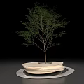 Art Installation Featuring Small Tree On Circular Wooden Layered Base