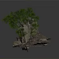 Natural Stone Structure With Irregularly Stacked Blocks And Adjacent Small Tree 3d model