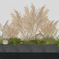Brown Grass Plants With Green Fern And White Spherical Lights In Black Planter Gray Wall