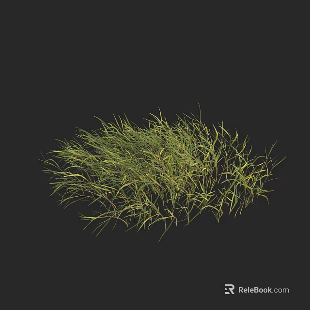 Lush Green Grass Clump With Fresh Leaves Isolated On Black Background 3d model 