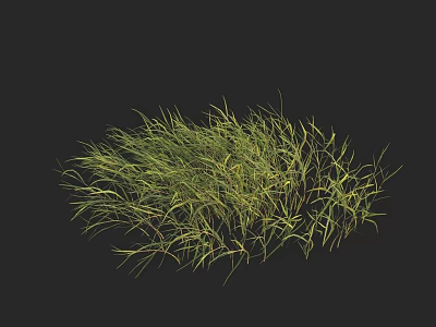 Lush Green Grass Clump With Fresh Leaves Isolated On Black Background 3d model