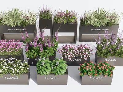Decorative Garden Planters With Various Colorful Flowers And Green Plants 3d model