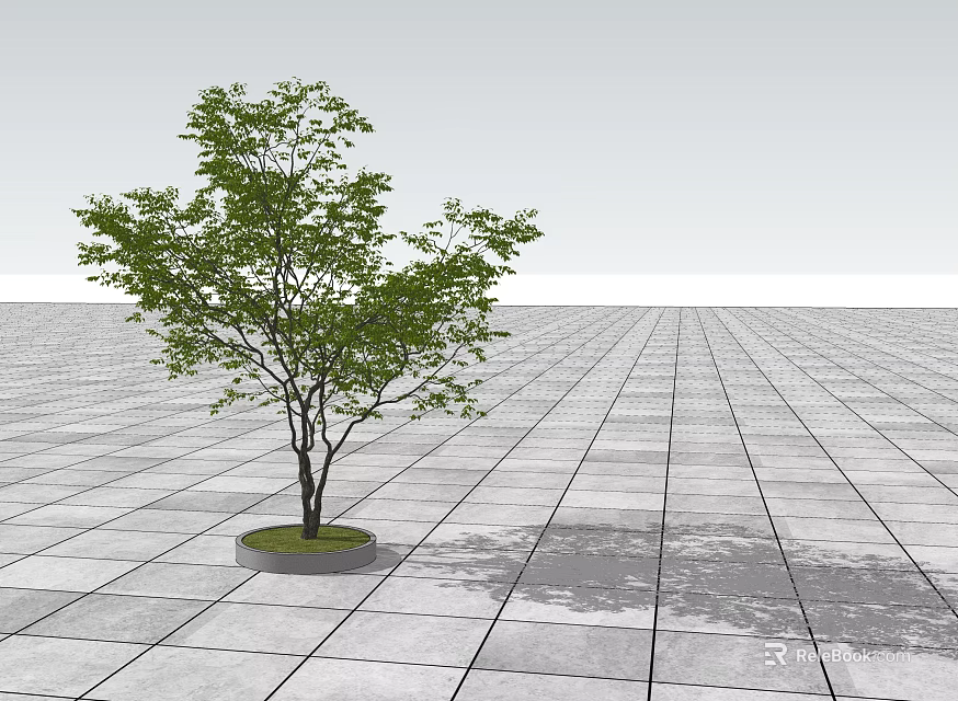 Lush Green Arbor with Slim Trunk on Gray Tiled Open Ground 3d model 