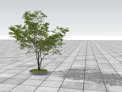 Lush Green Arbor with Slim Trunk on Gray Tiled Open Ground 3d model