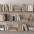 Modern Home Library Interior With Books And Magazines On Wooden Shelves