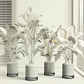 Various Large Potted Plants In White Pots With Black Bases Near Window Blinds Gray Walls