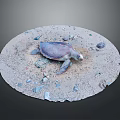 Sea Turtle Lying on Sandy Ground with Small Stones Around 3d model