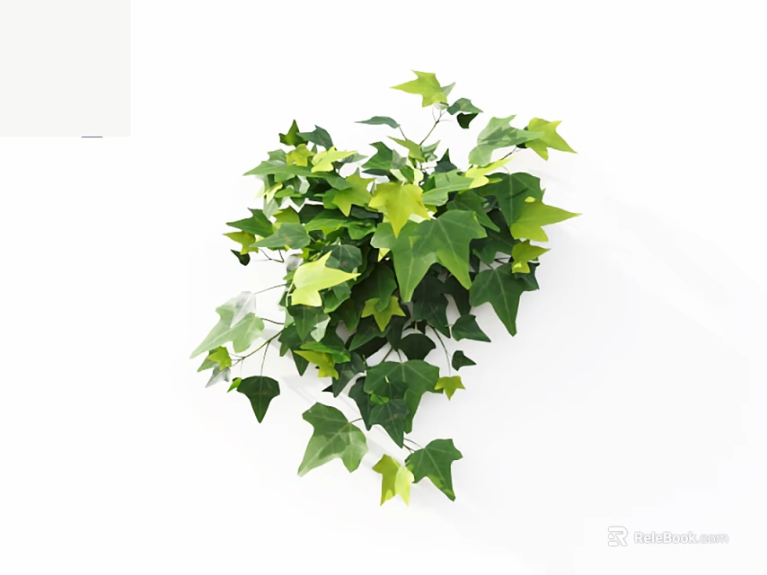 Lush Green Vine Plant With Fresh Green Leaves And Hanging Foliage For Home Decoration 3d model 