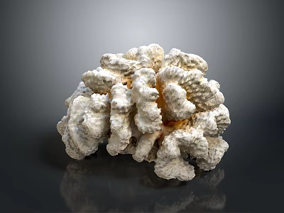 Natural White Textured Coral Structure With Branching Organic Growth Pattern 3d model