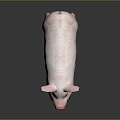 Pig Cartons Pig Game Pig Pig Head Pig Livestock Taming Animal Husbandry Animal Husbandry Mammals 3d model