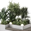 Outdoor Concrete Chair With Gray Cushions Surrounded By Green Plants And Round Lights