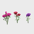 Beautiful Purple Pink And Red Roses Various Bouquets With Different Flower Counts On Light Background